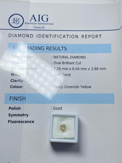 Diamant Ring mit Certificat