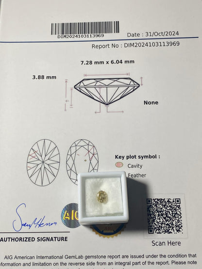 Diamant Ring mit Certificat