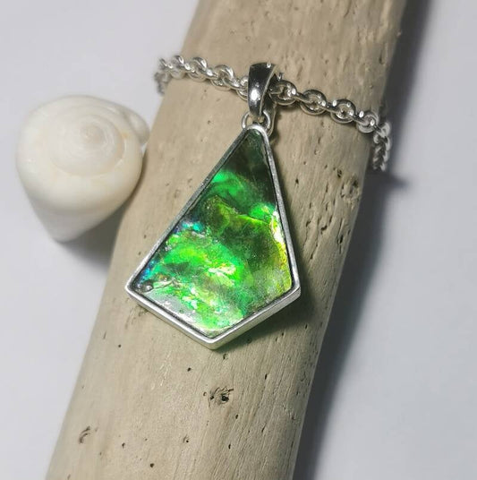 Ammolite Anhänger in Silber - Jewelry & Gems - Fisher Design