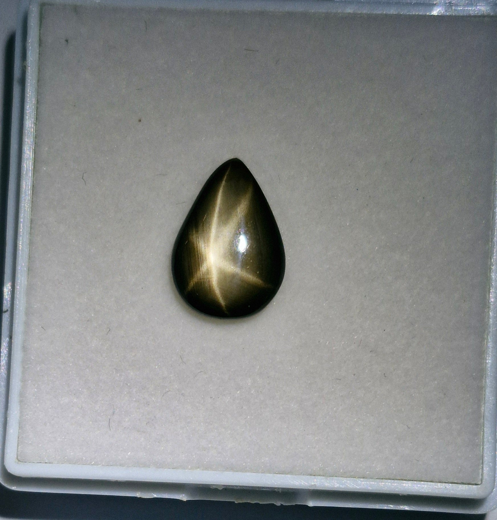 Sternsaphire schwarz 3.73ct. - Jewelry & Gems - Fisher Design