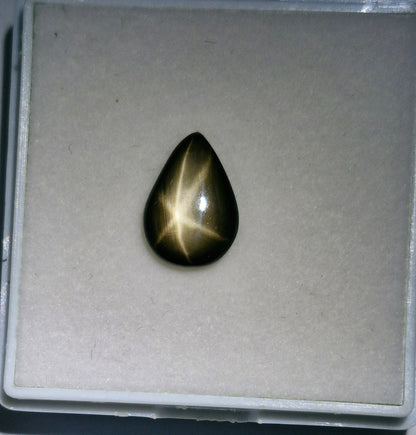 Sternsaphire schwarz 3.73ct. - Jewelry & Gems - Fisher Design