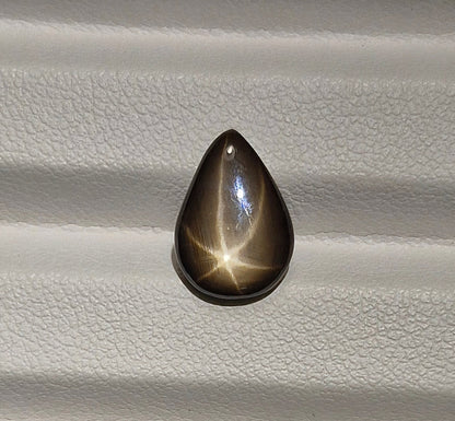 Sternsaphire schwarz 3.73ct. - Jewelry & Gems - Fisher Design
