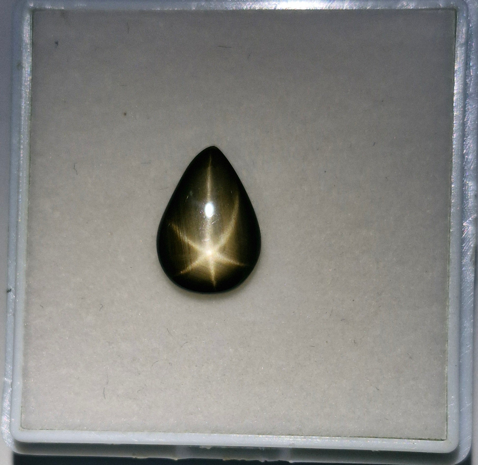 Sternsaphire schwarz 3.73ct. - Jewelry & Gems - Fisher Design