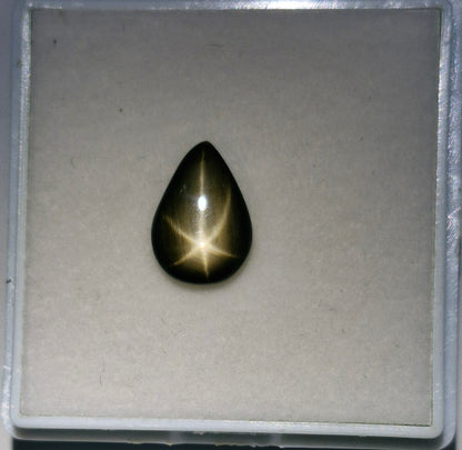 Sternsaphire schwarz 3.73ct. - Jewelry & Gems - Fisher Design