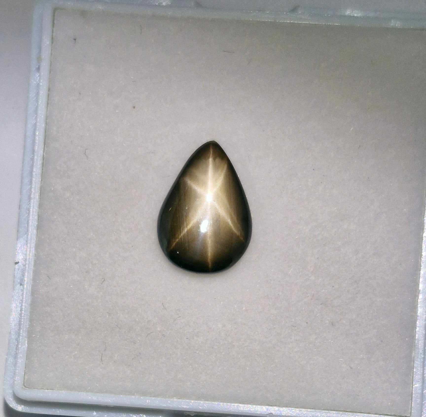 Sternsaphire schwarz 3.73ct. - Jewelry & Gems - Fisher Design