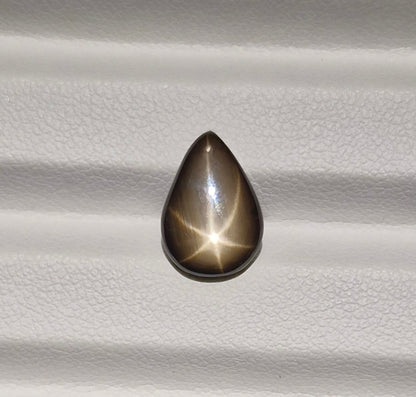 Sternsaphire schwarz 3.73ct. - Jewelry & Gems - Fisher Design
