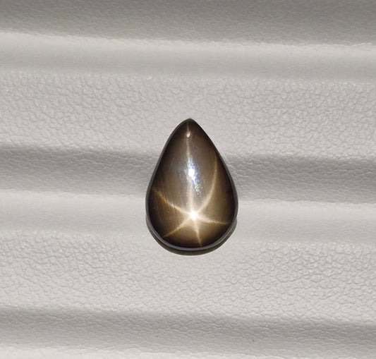 Sternsaphire schwarz 3.73ct. - Jewelry & Gems - Fisher Design