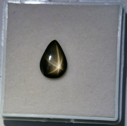 Sternsaphire schwarz 3.73ct. - Jewelry & Gems - Fisher Design