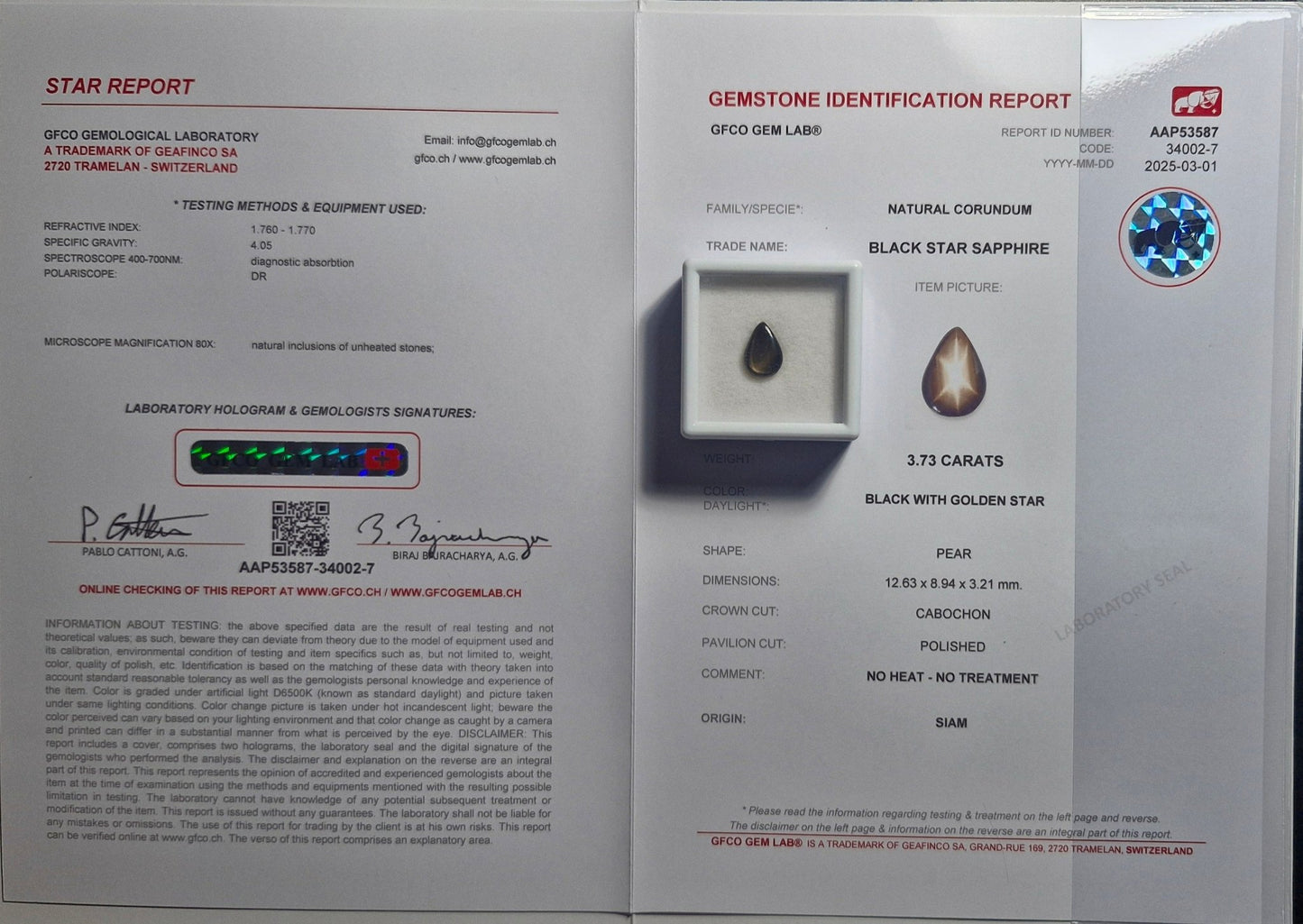 Sternsaphire schwarz 3.73ct. - Jewelry & Gems - Fisher Design